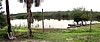 Rio Preta da Eva.jpg