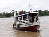 cow-boat.jpg