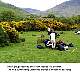 arran25.JPG