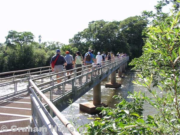 bridge-to-falls