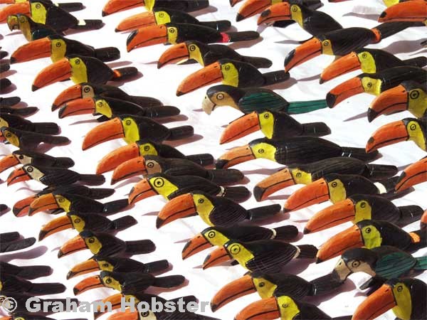 toucan-flock