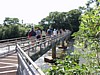bridge-to-falls.jpg