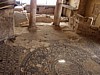 jsw_madaba_-_42.jpg