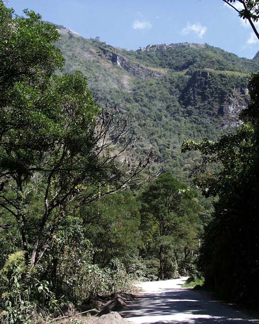 agua-cal38