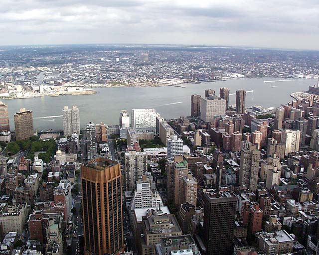 New York19